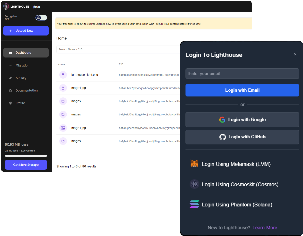 WEB APPLICATION